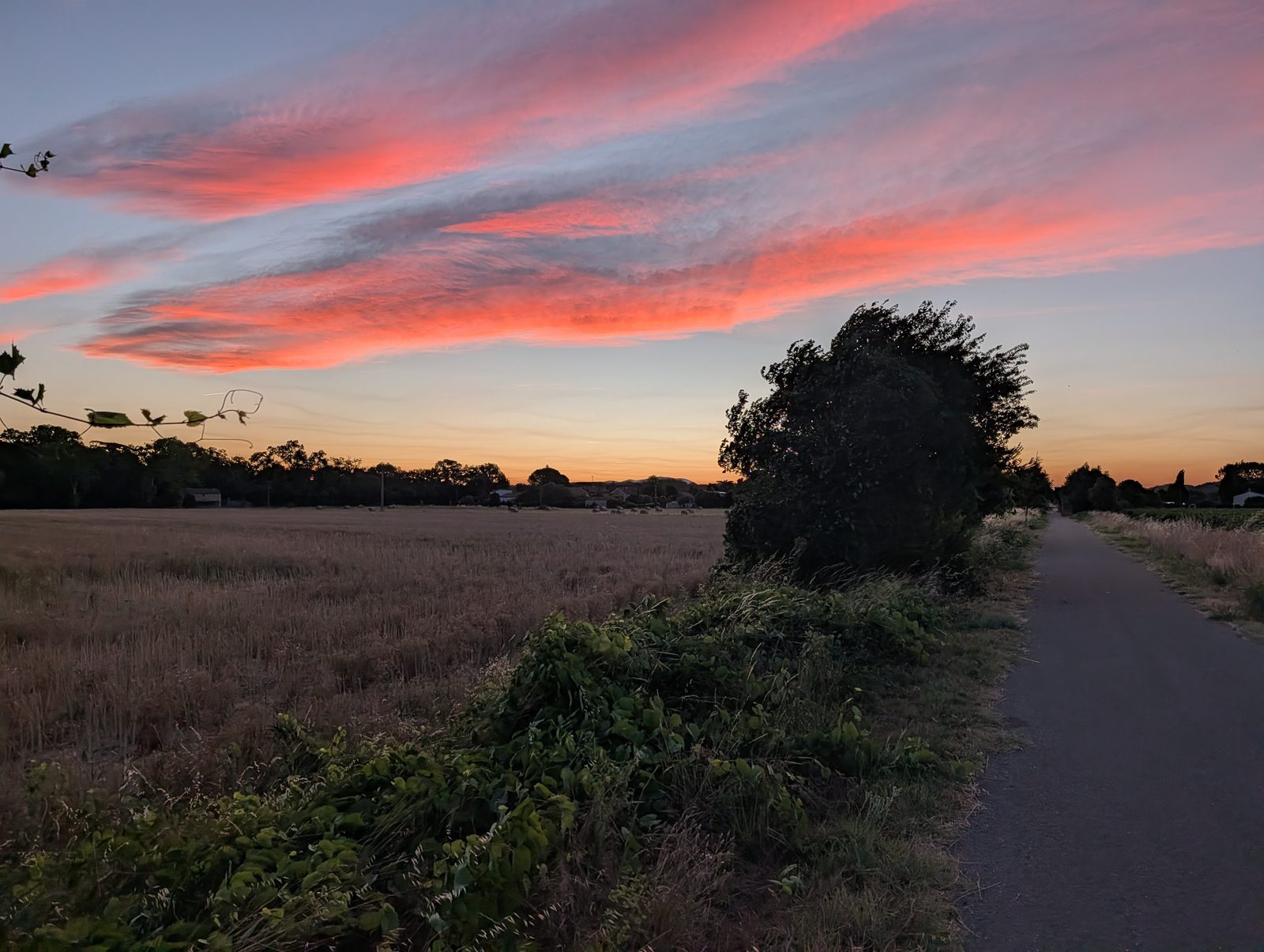 Ciel d'aube strié de nuages roses au-dessus d'un champ moissonné, le long de la voie verte