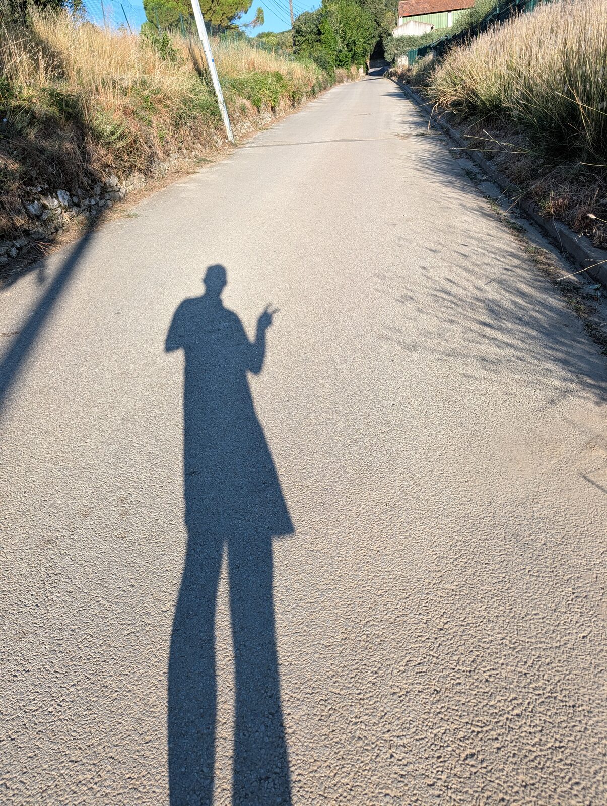 Mon ombre projetée sur un chemin de campagne au soleil rasant du matin, la main levée en signe de victoire.