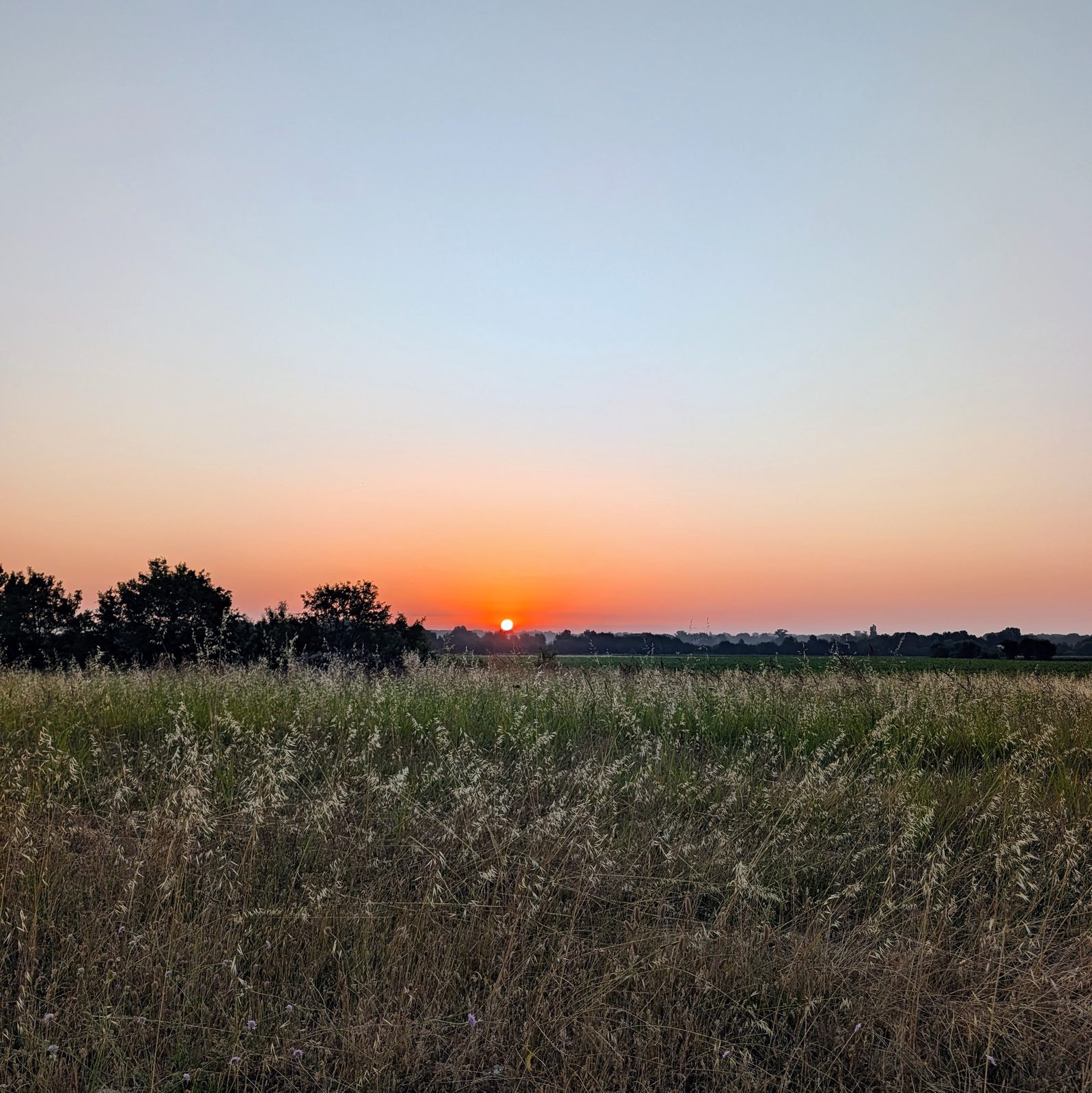 Lever de soleil sur un champ, depuis le bord d&rsquo;un chemin herbeux