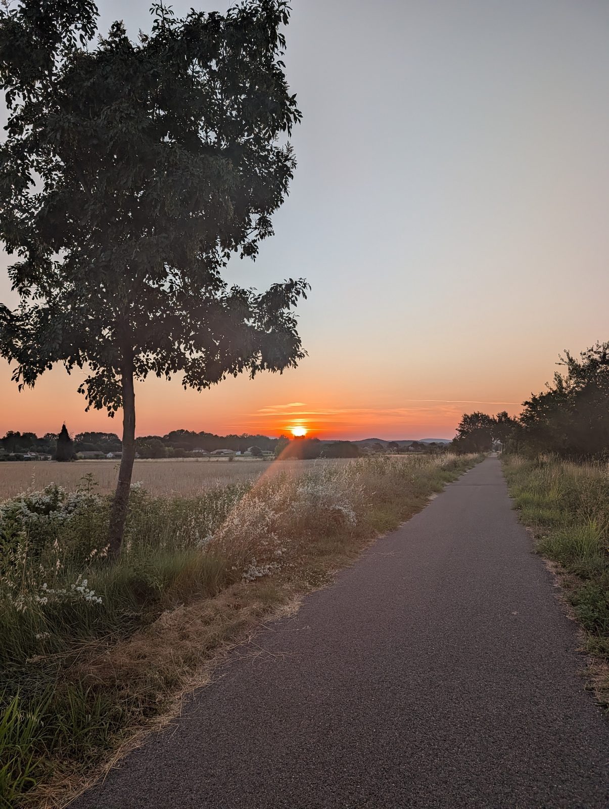 Lever de soleil orange sur la voie verte, un arbre en silhouette, pendant le test de forme du 30/06