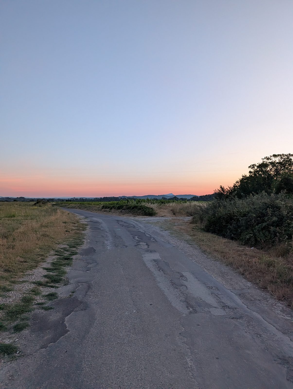 Chemin de terre entre vignes et herbes sèches au lever du jour, le Mont Bouquet en silhouette à l'horizon sous un ciel rose