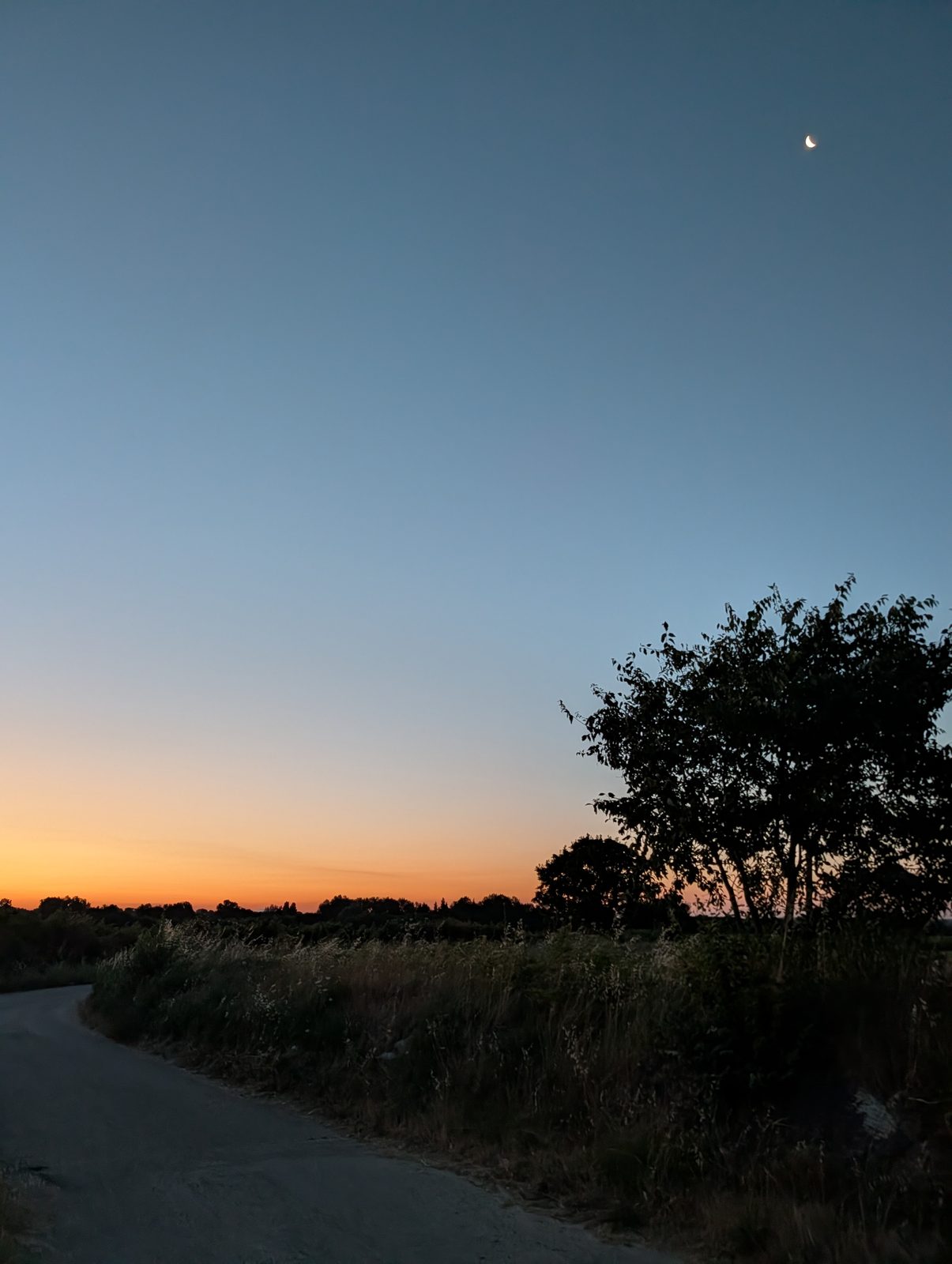 Route de campagne qui s'incurve à l'aube, herbes sèches et arbres en silhouette sur une bande orange à l'horizon, croissant de lune dans un ciel encore bleu nuit