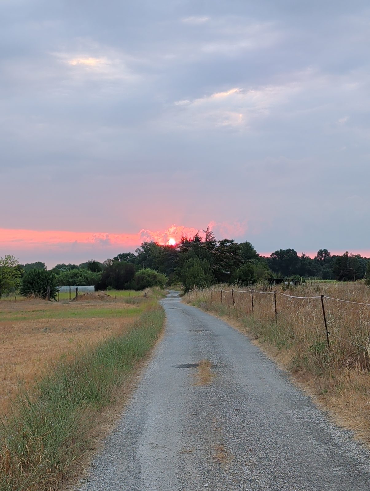 Lever de soleil rose et orangé sur une petite route de campagne bordée de champs secs, tôt le matin dans le Gard.