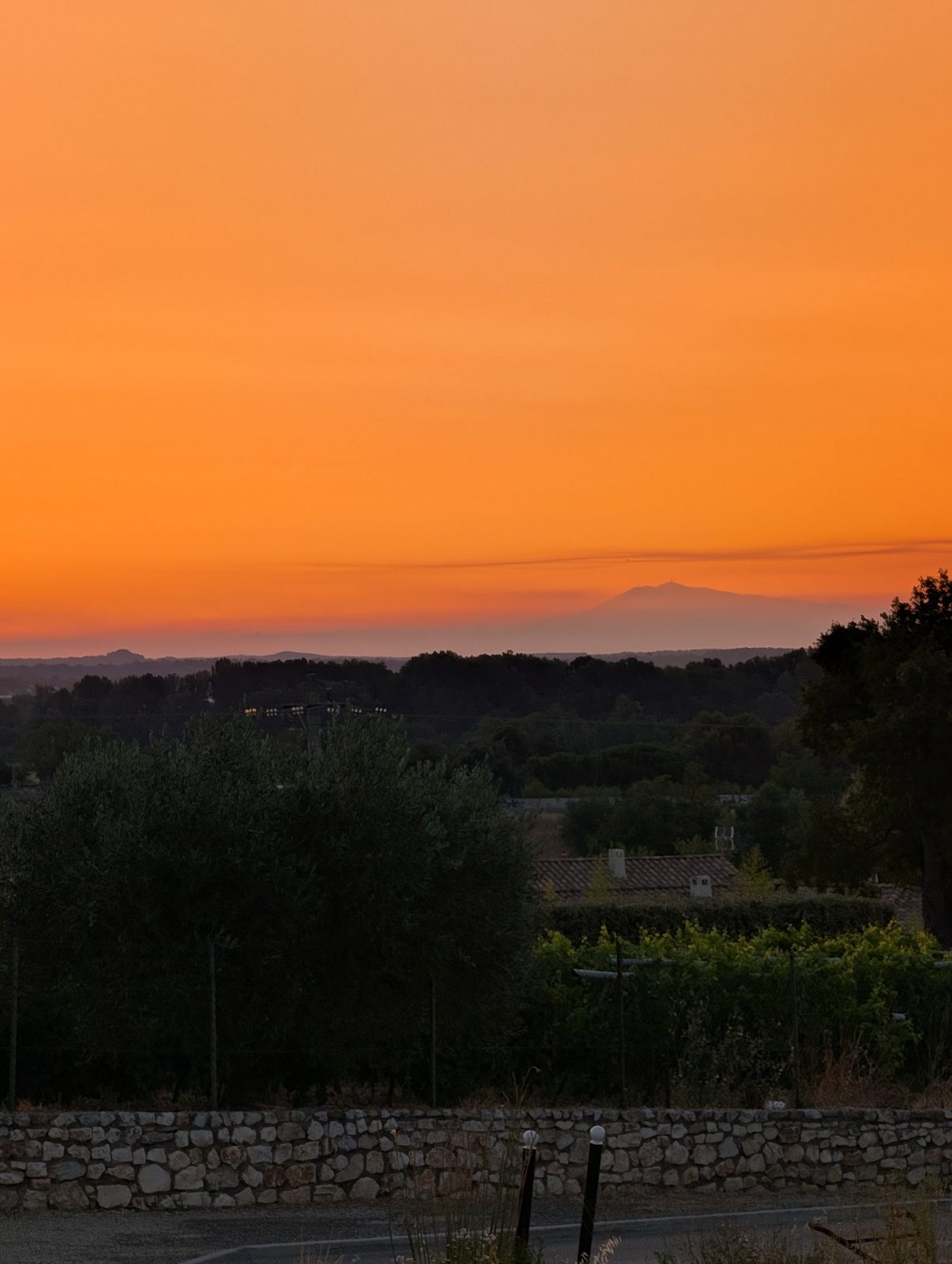 Ciel orange au lever du jour, le Mont Ventoux en silhouette au-dessus des vignes