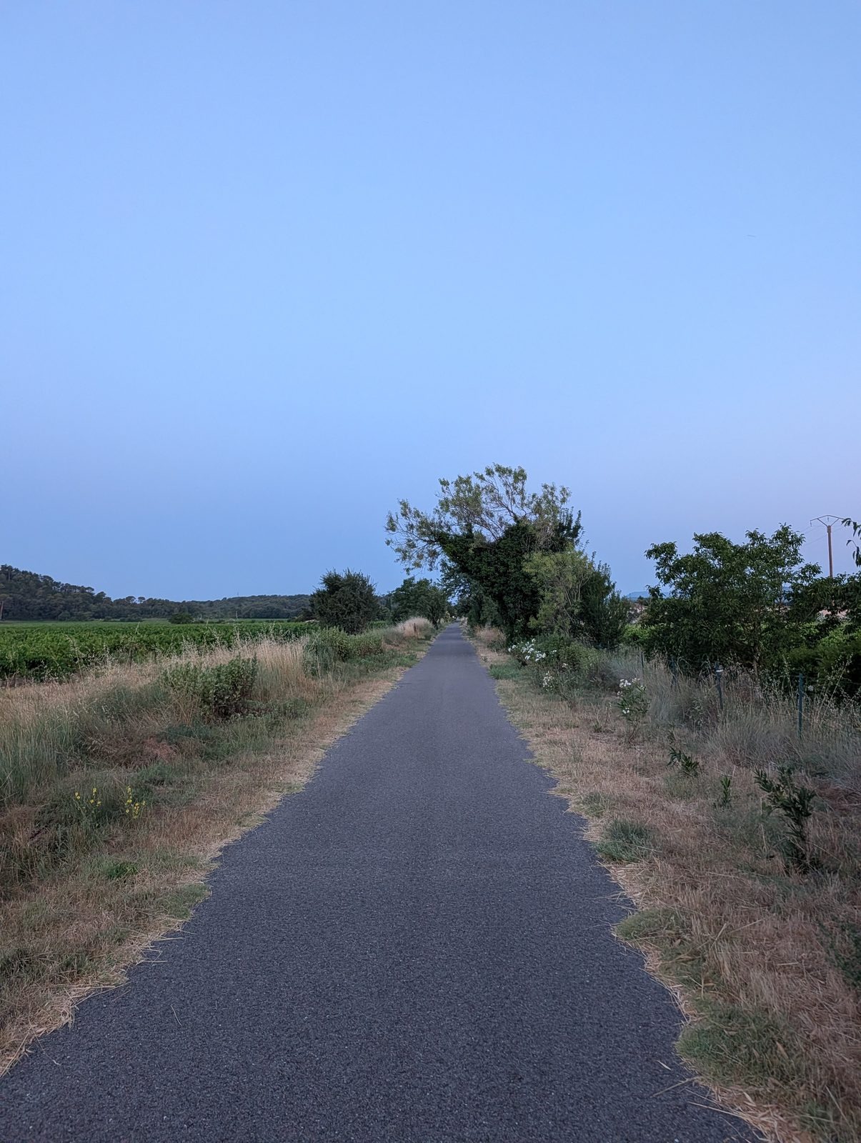 La voie verte à 5 h 50, ciel bleu d&rsquo;aube, vignes à gauche